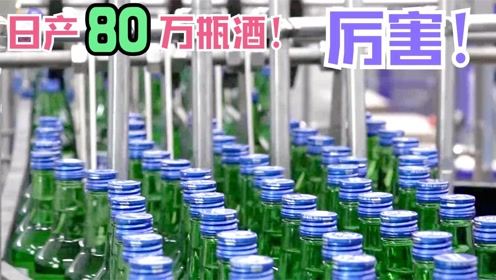 揭秘高效產線 日灌80萬瓶酒背后的工業奇跡